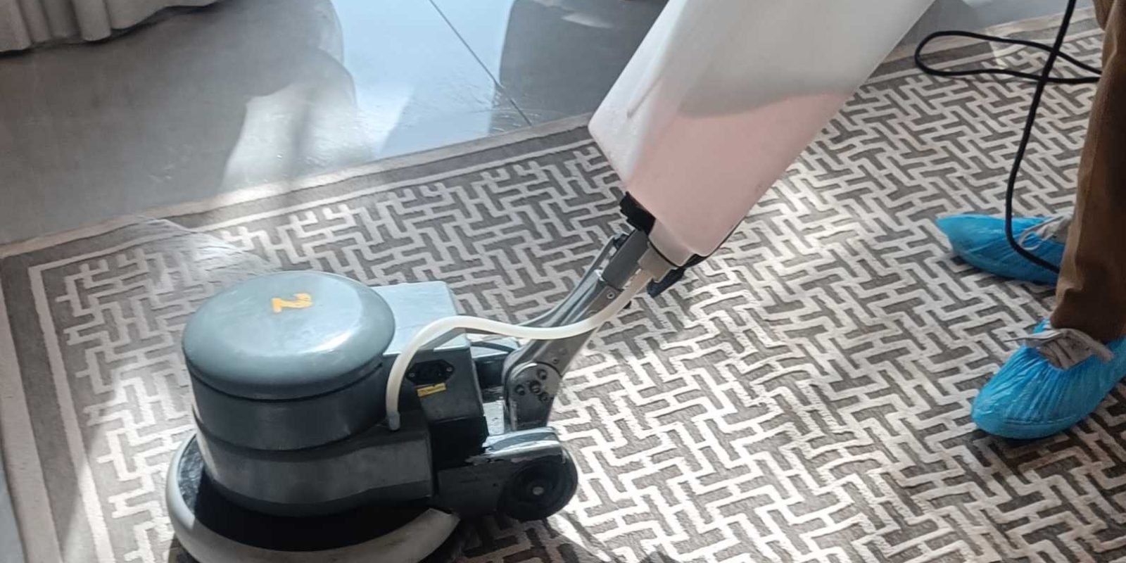 Carpet Cleaning Service